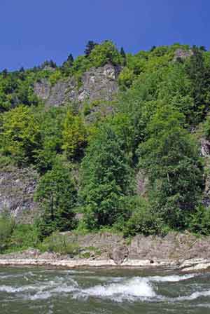 Pologne - les Pieniny - gorges du Dunajec