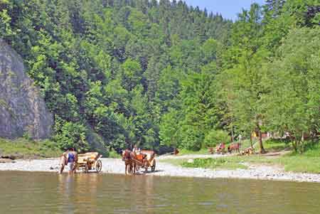 Pologne - les Pieniny - gorges du Dunajec