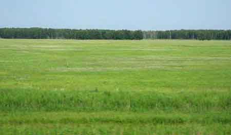 Paysages de Sibérie Transibérien 