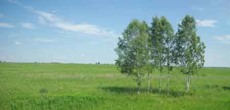 Paysages de Sibérie Occidentale Transibérien 