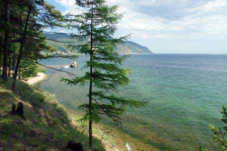 lac baikal la Taiga  Sibérie  