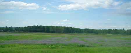 paysage de sibérie  Transsibérien 