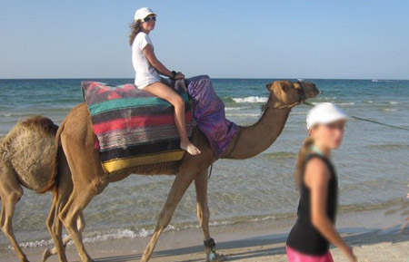 promenade en chameau  Tunisie