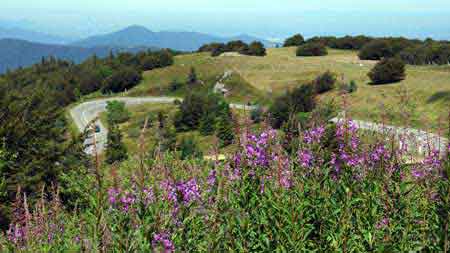 route des cretes Alsace Vosges