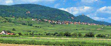 route des vins Alsace France