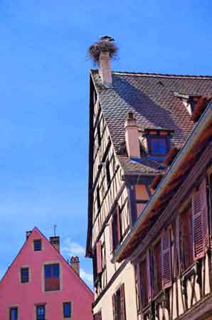 Turckheim route des vins Alsace France