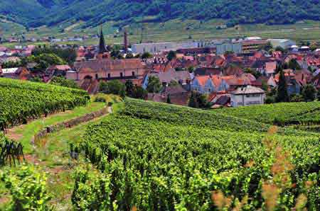 Turckheim route des vins Alsace France