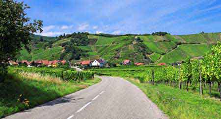 route des vins Alsace France