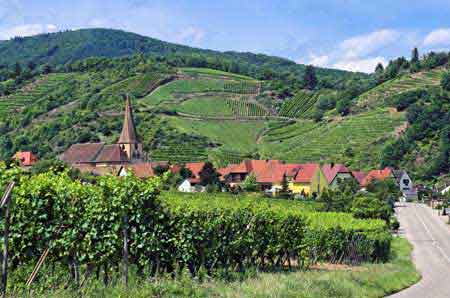 route des vins Alsace France