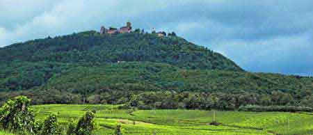 Chateau du Haut Koenigsbourg - Alsace - France