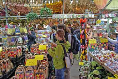 march aux fleurs Amsterdam