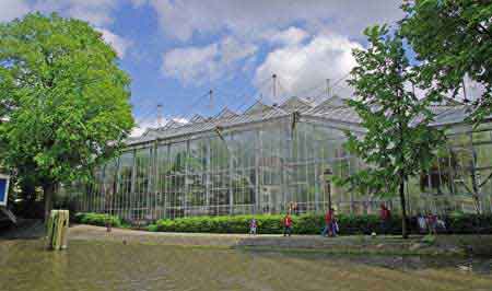 Plantage - Arboretum - Amsterdam