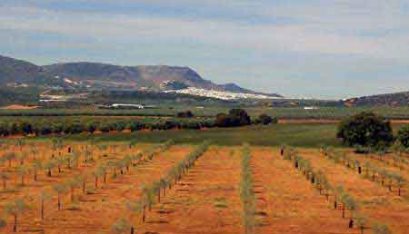 paysages d'Andalousie