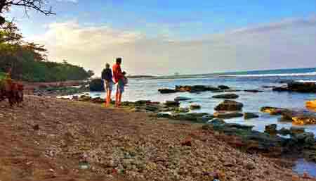 plage des amandiers Sainte Rose  Guadeloupe