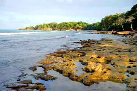 plage des amandiers Sainte Rose Guadeloupe