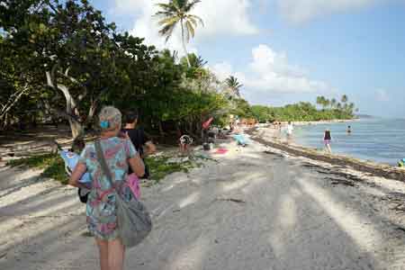 plage du bois Jolan Sainte Anne Guadeloupe