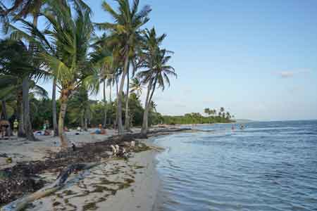 plage du bois Jolan Sainte Anne Guadeloupe