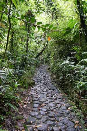 le chemin vers les chutes du Carbet Guadeloupe