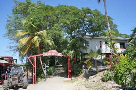 Distillerie Damoiseau Le Moule Guadeloupe