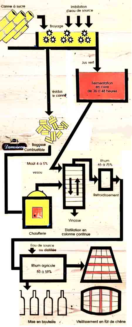 schématisation de la distillerie Damoiseau