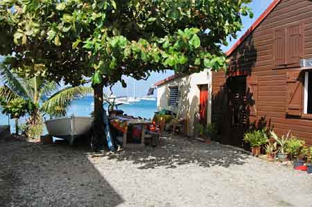 Deshaies  basse terre Guadeloupe