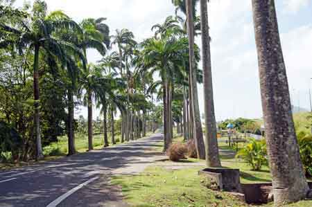 allée Dumanoir Capesterre Belle eau Guadeloupe