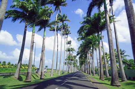 allée Dumanoir Capesterre Belle eau Guadeloupe