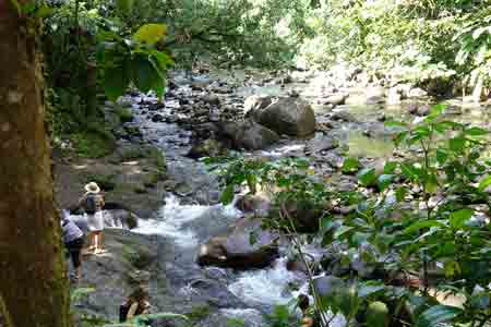 guadeloupe cascade aux ecrevisses