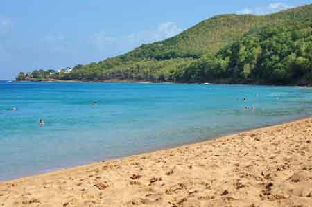 Grande Anse plage a Deshaies Guadeloupe