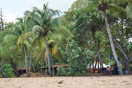 Grande Anse plage a Deshaies Guadeloupe