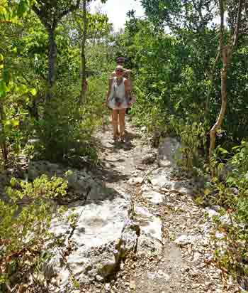 chemin menant à la grande vigie - guadeloupe