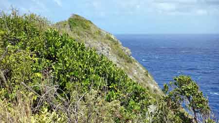 pointe de la grande vigie - Guadeloupe