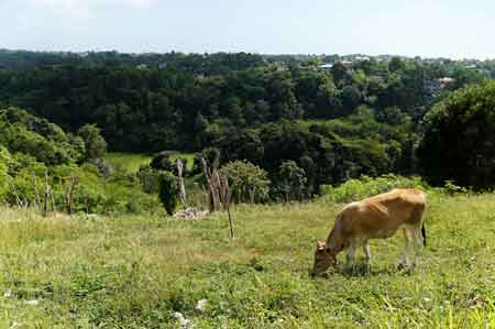 les grands fonds guadeloupe