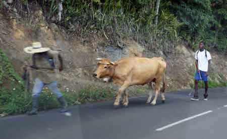 les grands fonds guadeloupe