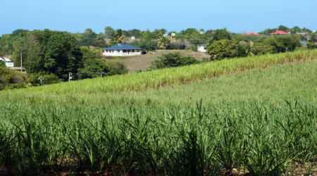 les grands fonds guadeloupe