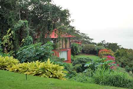 jardin botanique Deshaies villa de Coluche Guadeloupe