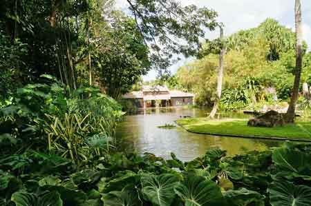 jardin botanique Deshaies Guadeloupe