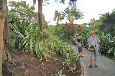 jardin botanique Deshaies Guadeloupe