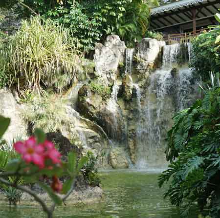 jardin botanique Deshaies Guadeloupe