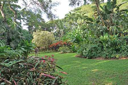 jardin botanique Deshaies Guadeloupe