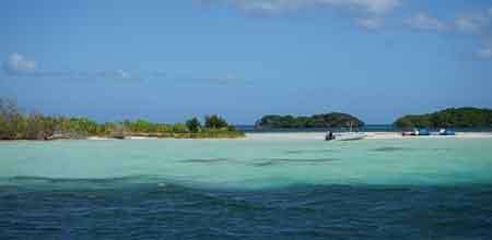 Grand cul de sac marin croisiere lagon mangrove