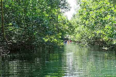 Grand cul de sac marin croisiere lagon mangrove