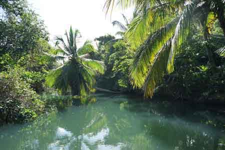 Grand cul de sac marin croisiere lagon mangrove