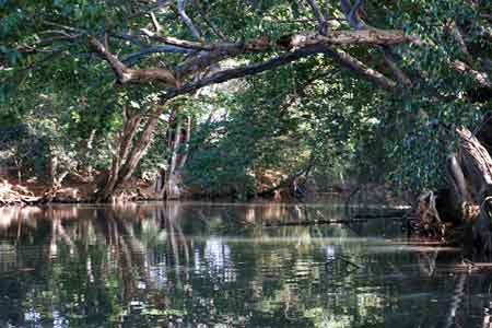 Grand cul de sac marin croisiere lagon mangrove