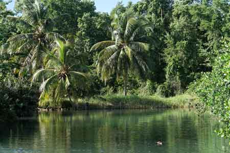 Grand cul de sac marin croisiere lagon mangrove