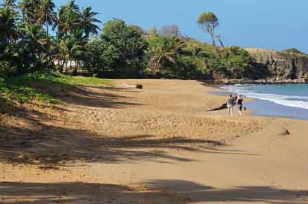 plage de la Perle Deshaies Guadeloupe