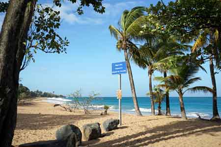 plage de la Perle Deshaies Guadeloupe