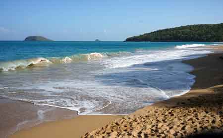 plage de la Perle Deshaies Guadeloupe
