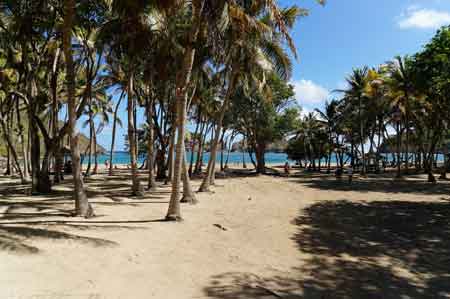 pompierre les saintes Terre de haut guadeloupe