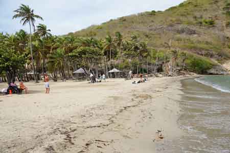 pompierre les saintes Terre de haut guadeloupe